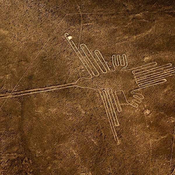 13694946_2104246159801515_1443457401_n